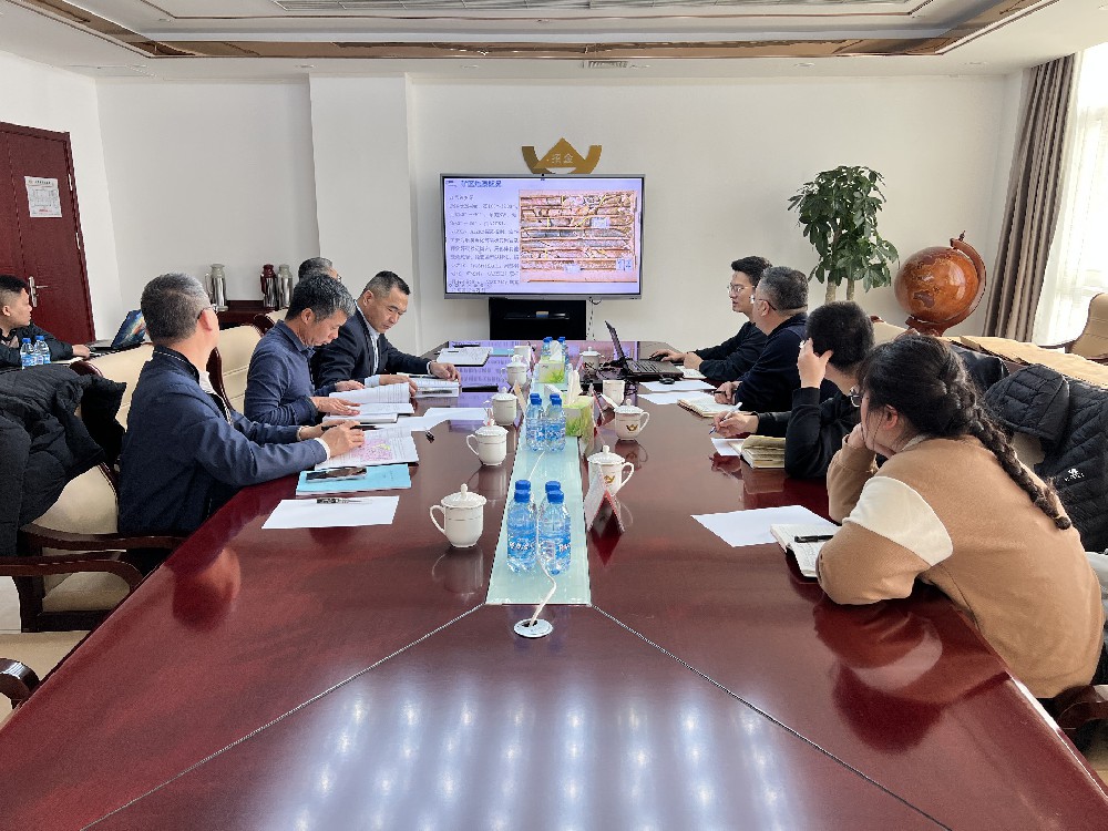 招金有色埠南礦區靶區驗證項目 順利通過評審